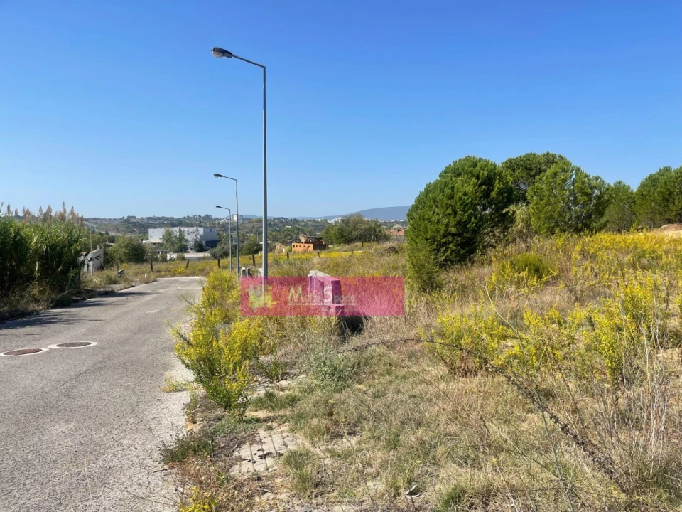 Terreno para Venda em Torres Novas (Santa Maria, Salvador e Santiago) Foto 1