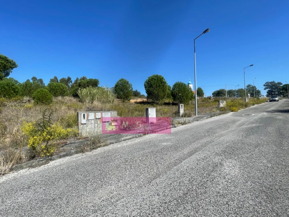 Terreno para Venda em Torres Novas (Santa Maria, Salvador e Santiago) Foto 4