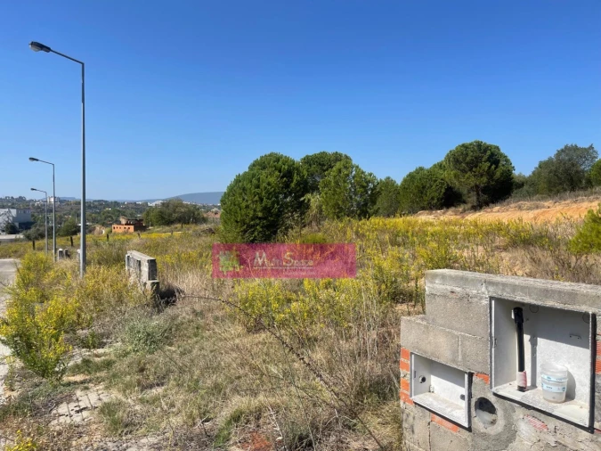 Terreno para Venda em Torres Novas (Santa Maria, Salvador e Santiago) Foto 2