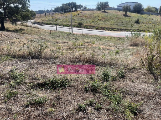Terreno para Venda em Torres Novas (Santa Maria, Salvador e Santiago) Foto 3
