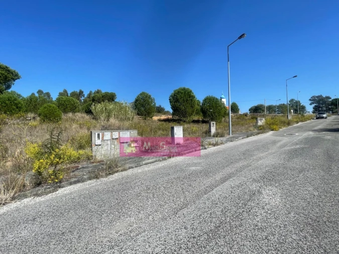 Terreno para Venda em Torres Novas (Santa Maria, Salvador e Santiago) Foto 4