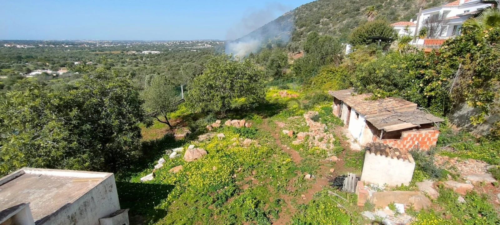 Terreno para Venda em Loule (São Sebastião) Foto 4