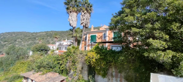 Terreno para Venda em Loule (São Sebastião)