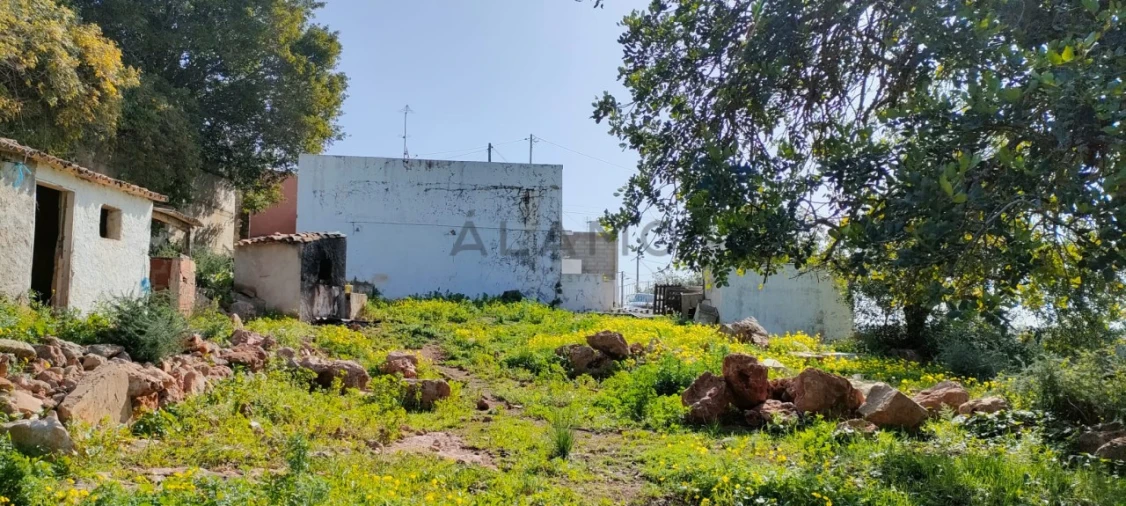Terreno para Venda em Loule (São Sebastião) Foto 2