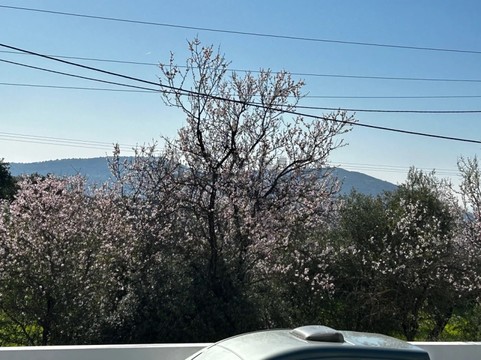 Apartamento T4 para Venda em São Brás de Alportel Foto 3