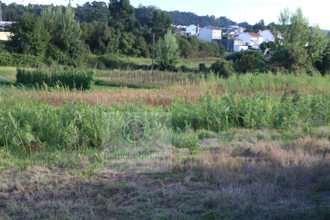 Terreno para Venda em Paredes Foto 2