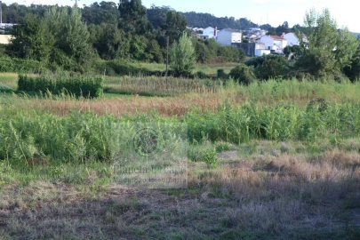 Terreno para Venda em Paredes