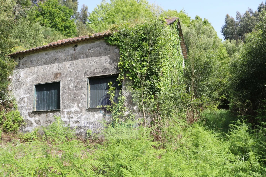 Quinta T3 para Venda em Frazão Arreigada Foto 2