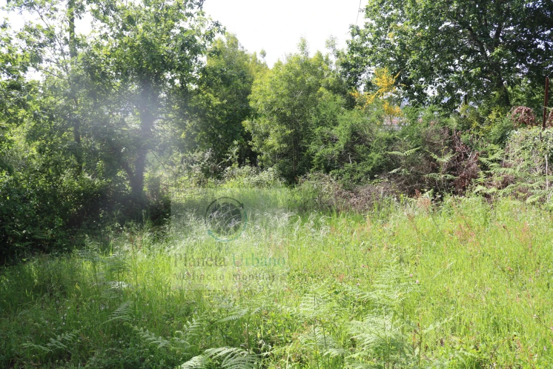 Quinta T3 para Venda em Frazão Arreigada Foto 5