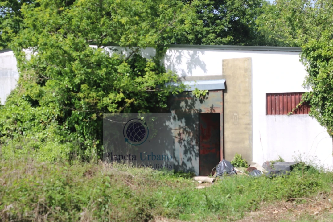 Quinta T3 para Venda em Frazão Arreigada Foto 6