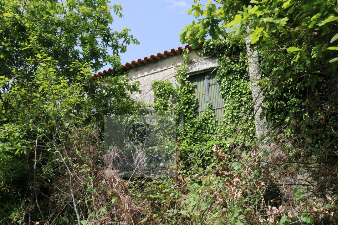 Quinta T3 para Venda em Frazão Arreigada Foto 9