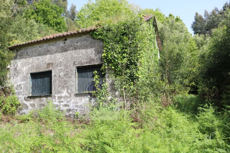 Quinta T3 para Venda em Frazão Arreigada Foto 2