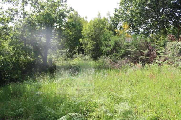 Quinta T3 para Venda em Frazão Arreigada Foto 5