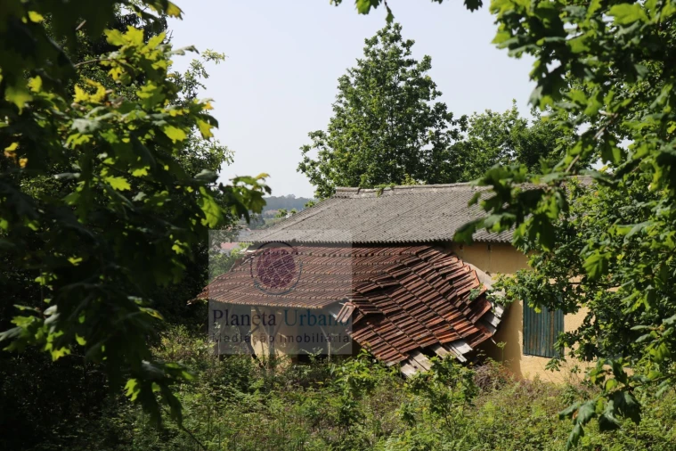 Quinta T3 para Venda em Frazão Arreigada Foto 7