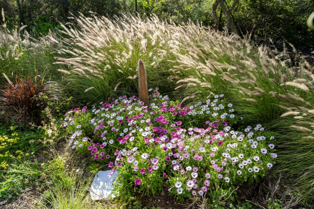 Moradia T8 para Venda em Tavira (Santa Maria e Santiago) Foto 36