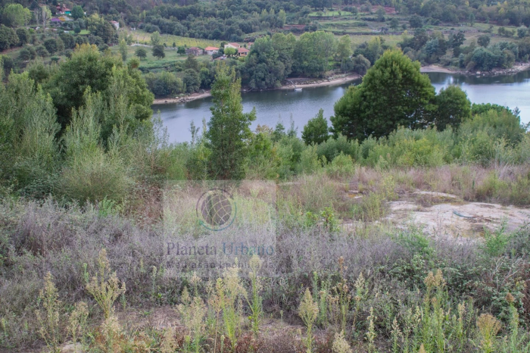 Terreno para Venda em Abragão Foto 3