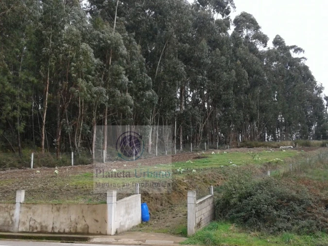 Terreno para Venda em Sobreira