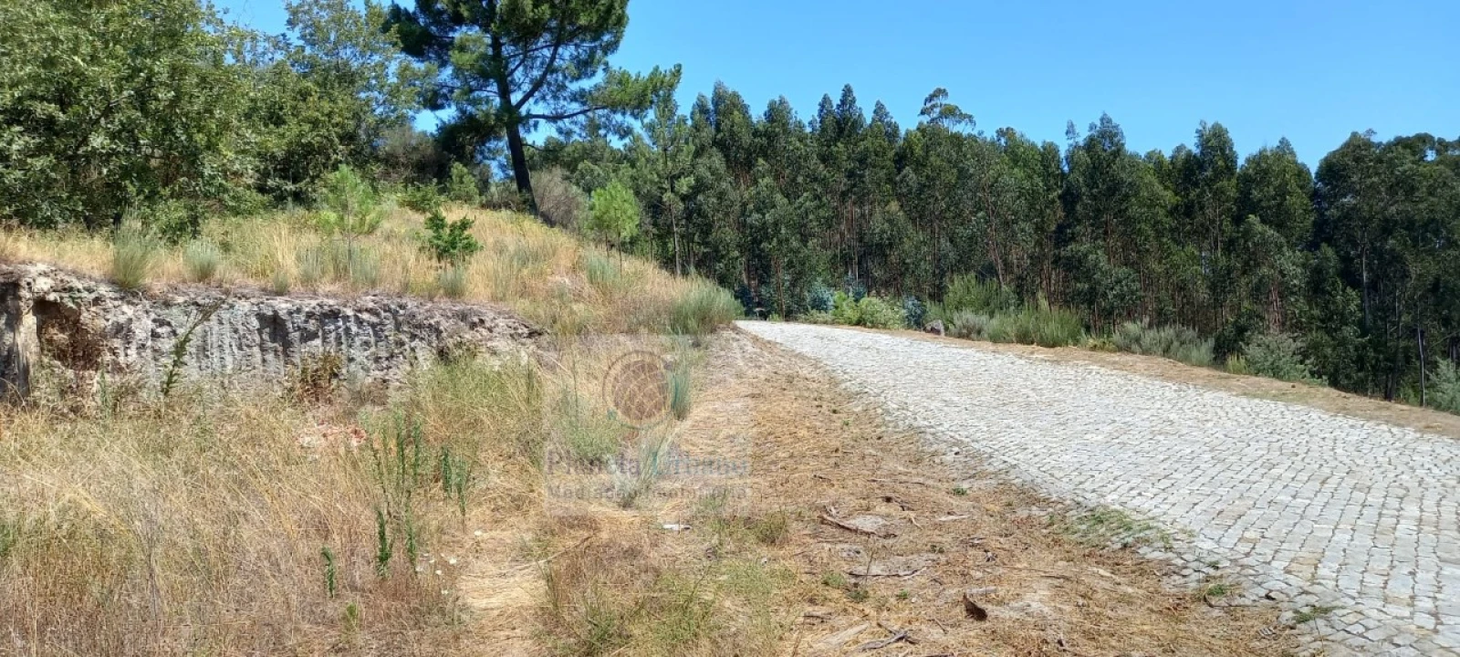 Terreno para Venda em Grilo Foto 2