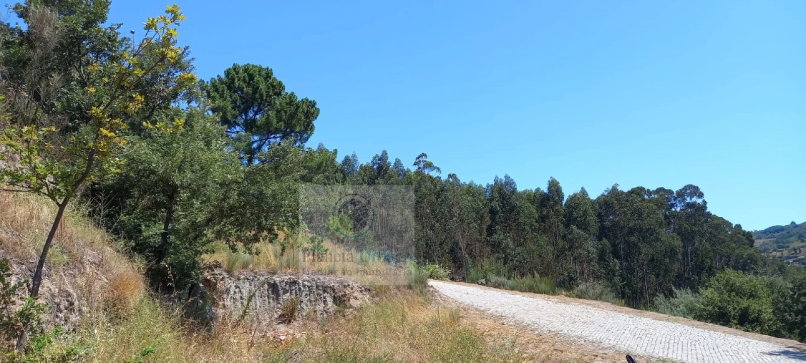 Terreno para Venda em Grilo Foto 3