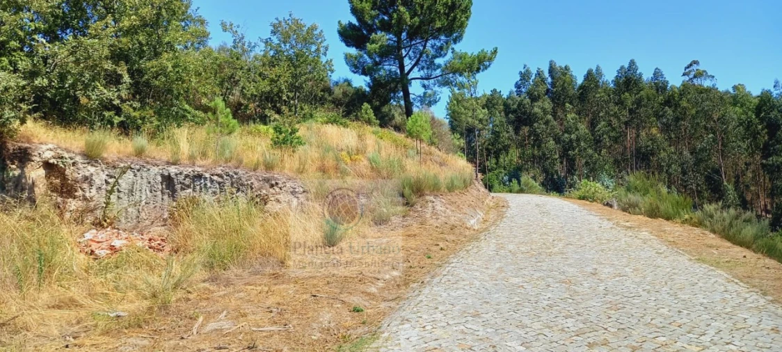 Terreno para Venda em Grilo Foto 1