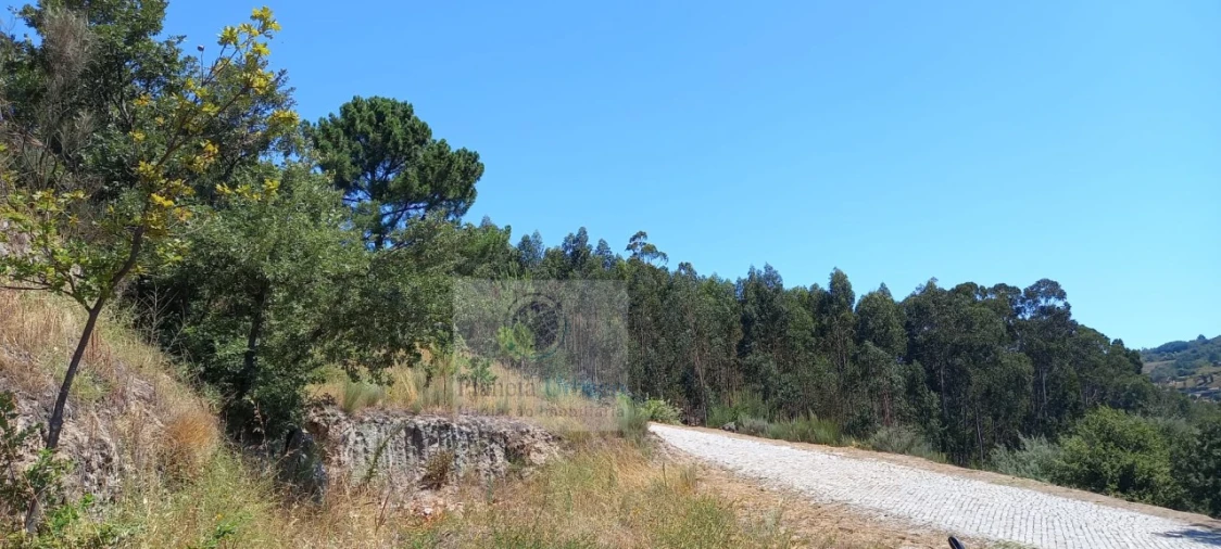 Terreno para Venda em Grilo Foto 3