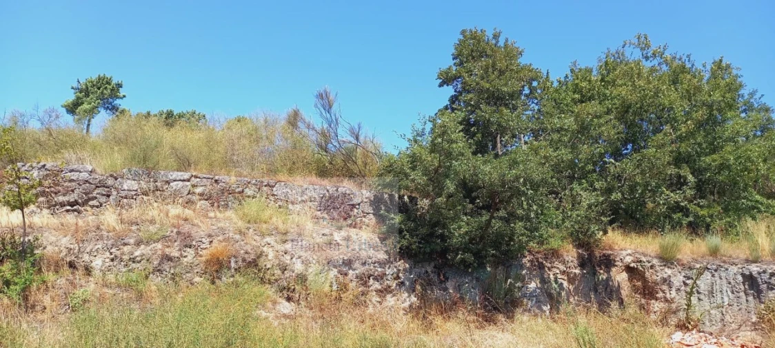 Terreno para Venda em Grilo Foto 4