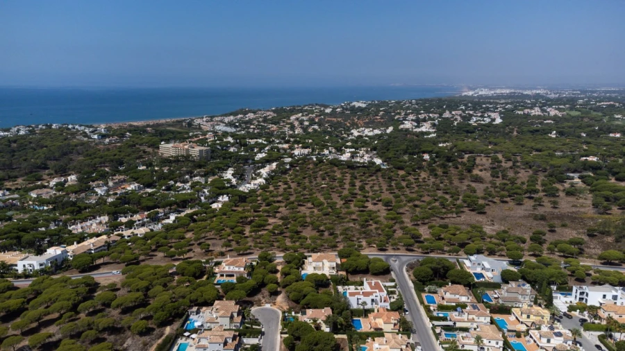 Terreno P/ Prédio para Venda em Almancil Foto 2