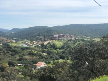 Terreno para Venda em Querença, Tôr e Benafim