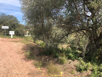 Terreno para Venda em Querença, Tôr e Benafim