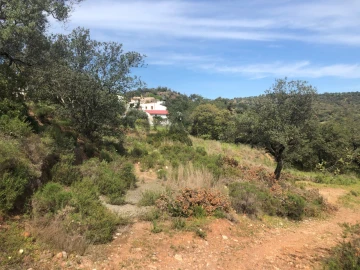 Terreno para Venda em Querença, Tôr e Benafim