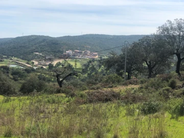 Terreno para Venda em Querença, Tôr e Benafim