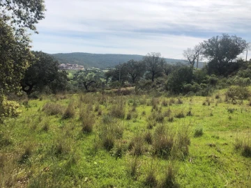 Terreno para Venda em Querença, Tôr e Benafim