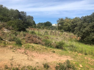 Terreno para Venda em Querença, Tôr e Benafim