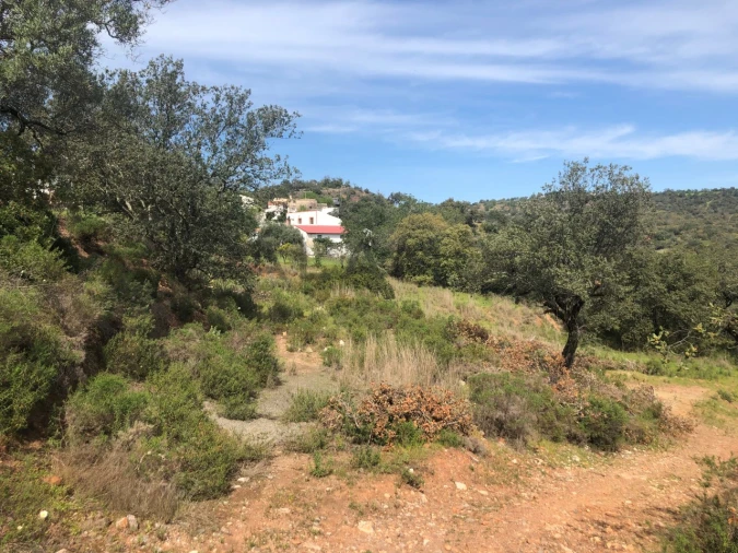 Terreno para Venda em Querença, Tôr e Benafim Foto 5