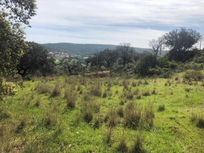 Terreno para Venda em Querença, Tôr e Benafim Foto 7