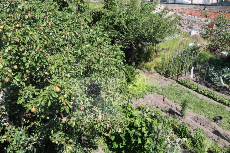 Terreno para Venda em Rebordosa