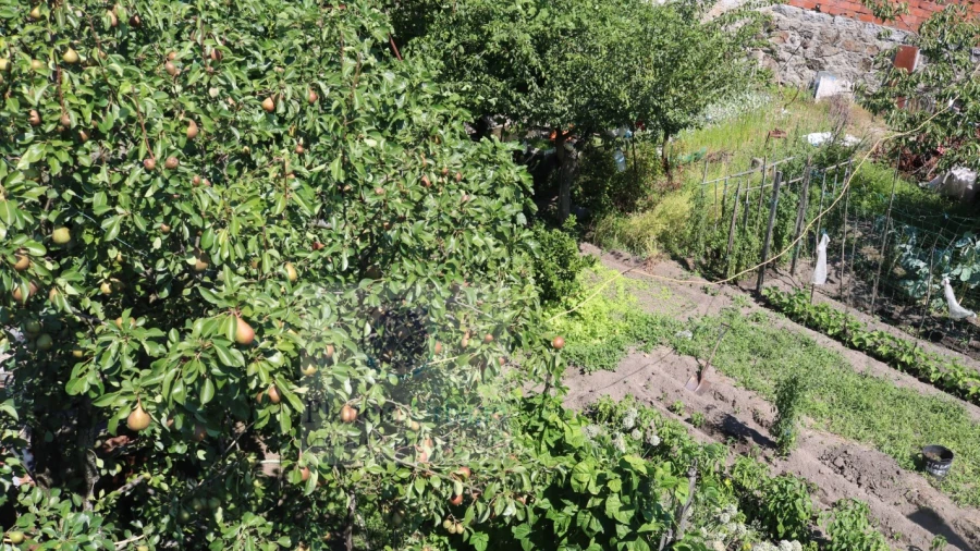 Terreno para Venda em Rebordosa