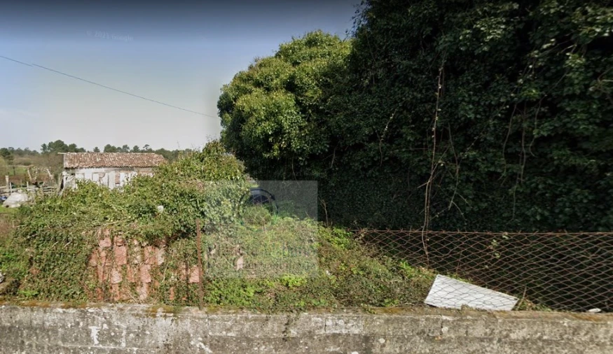 Terreno para Venda em São Pedro da Torre Foto 2