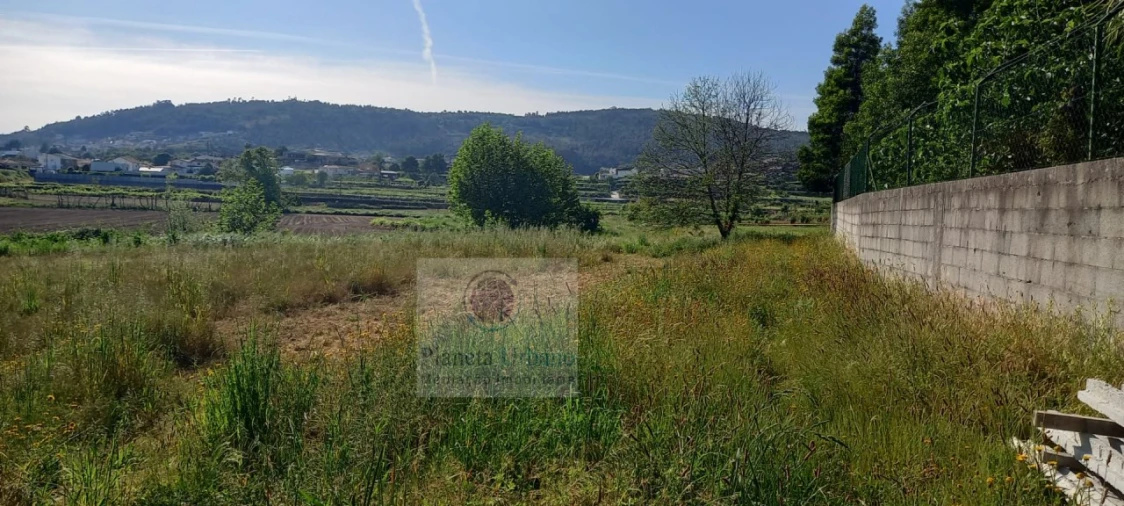 Terreno Agricola ou Rústico para Venda em Beire Foto 3
