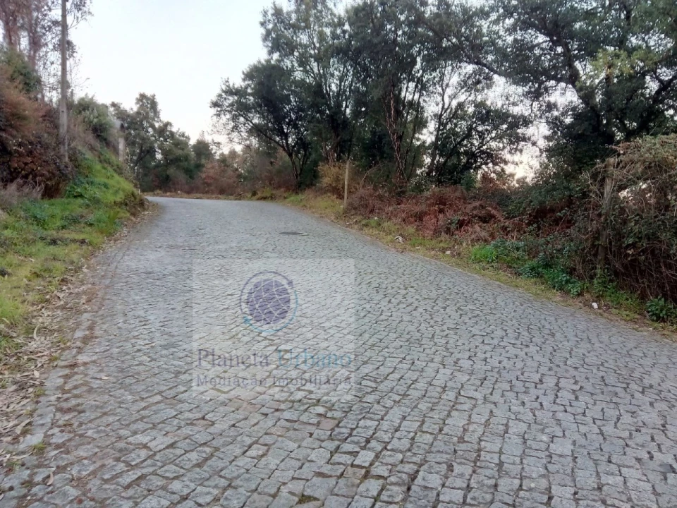 Terreno para Venda em Nevogilde Foto 3