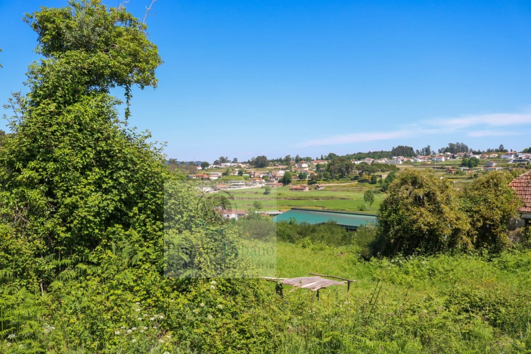 Quinta para Venda em Paredes Foto 1