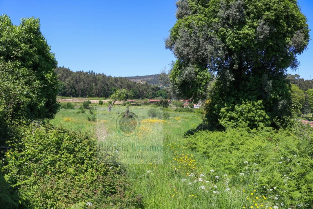 Quinta para Venda em Paredes Foto 2