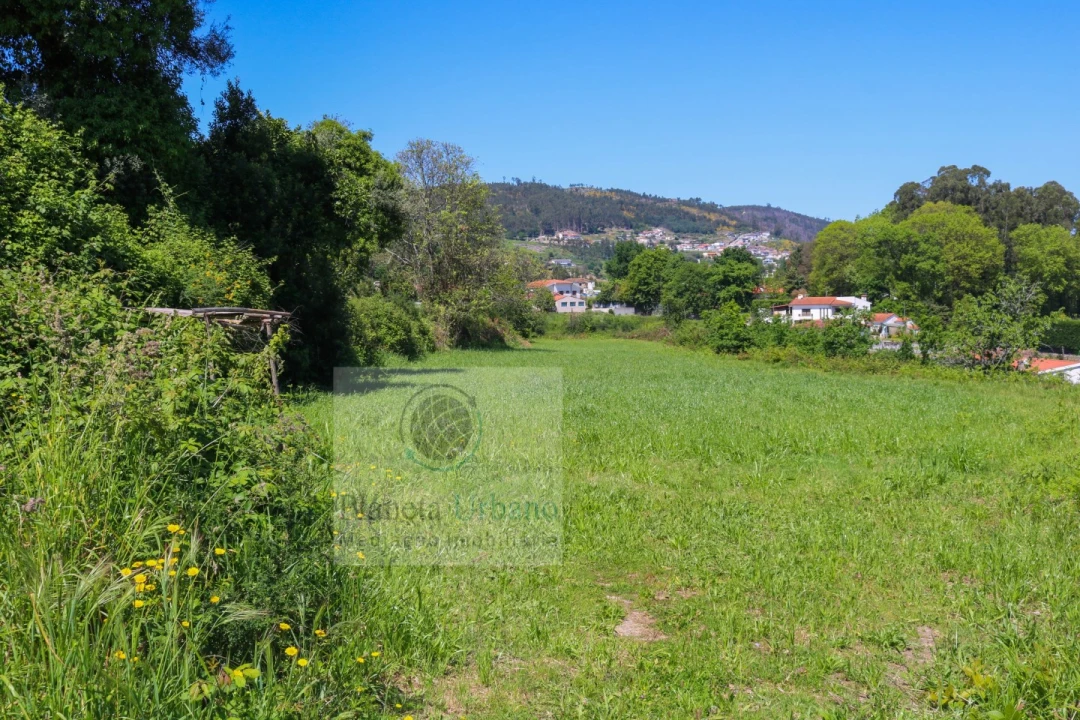 Quinta para Venda em Paredes Foto 5