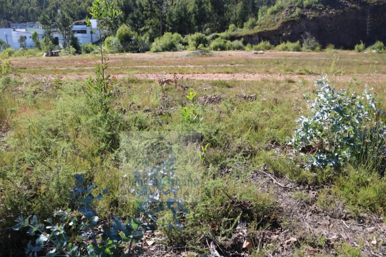 Terreno Comércio / Armazém para Venda em Lordelo Foto 5