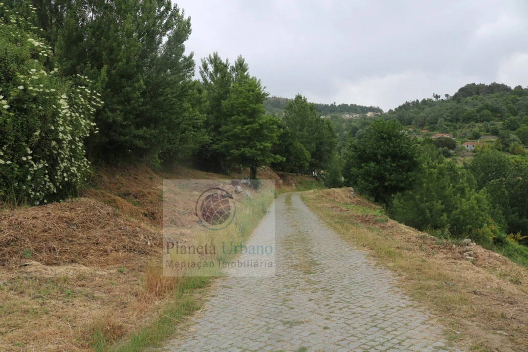 Quinta para Venda em Gestaço Foto 8