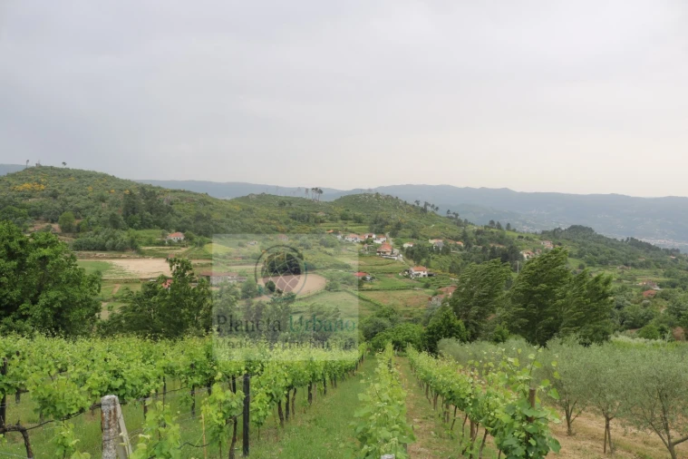 Quinta para Venda em Gestaço Foto 2