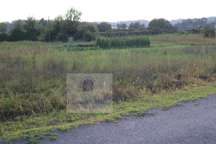 Terreno para Venda em Gandra Foto 1