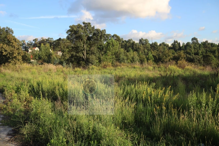 Terreno para Venda em Gandra Foto 2