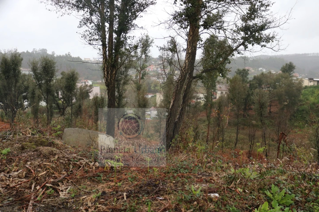 Terreno Comércio / Armazém para Venda em Lordelo Foto 2