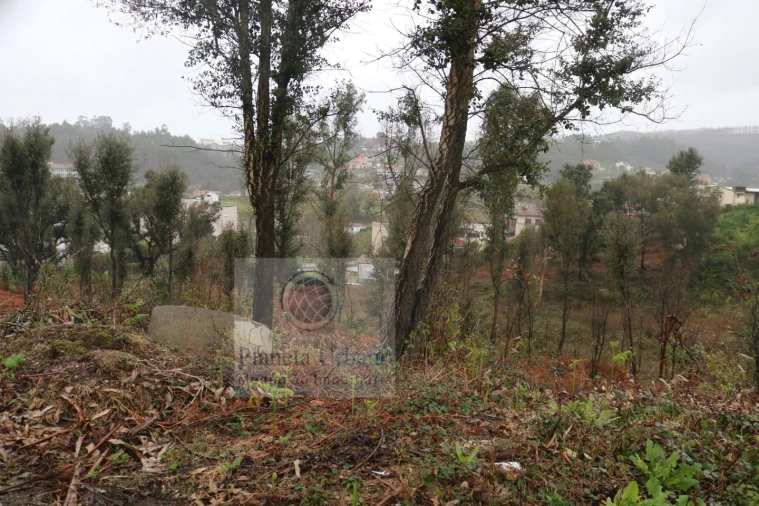 Terreno Comércio / Armazém para Venda em Lordelo Foto 2